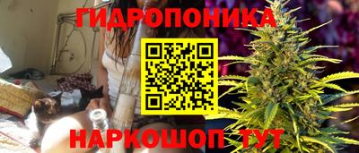 гидропоника Рузаевка
