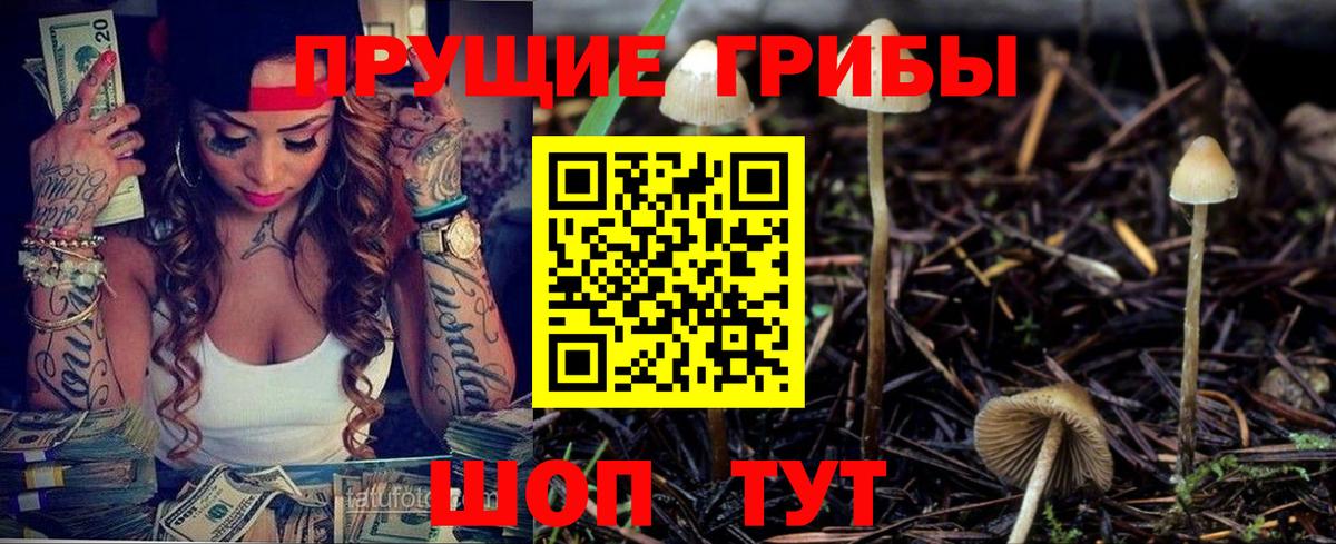 Псилоцибиновые грибы ЛСД Нурлат