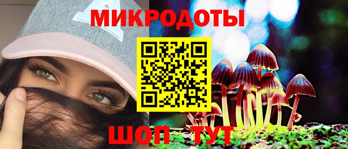 Псилоцибиновые грибы MAGIC MUSHROOMS  Вход с VPN  цена наркотик  Нурлат  Псилоцибиновые грибы Psilocybe 